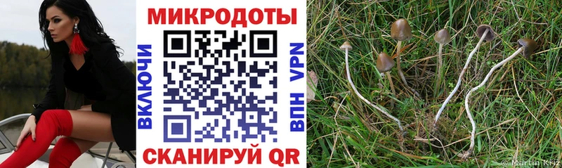 Галлюциногенные грибы Cubensis  Купить закладки  Брянск 
